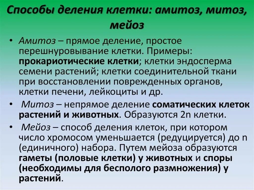 Способы деления клеток амитоз. Способы деления клетки. Типы деления клеток митоз мейоз амитоз. Способы деленияулеток. Деление клеток митоз амитоз.