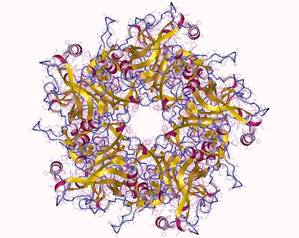 Белки вирусов. Рисунок онковируса. Белок l. Вирусный белок ns1. Virus капсидный белок