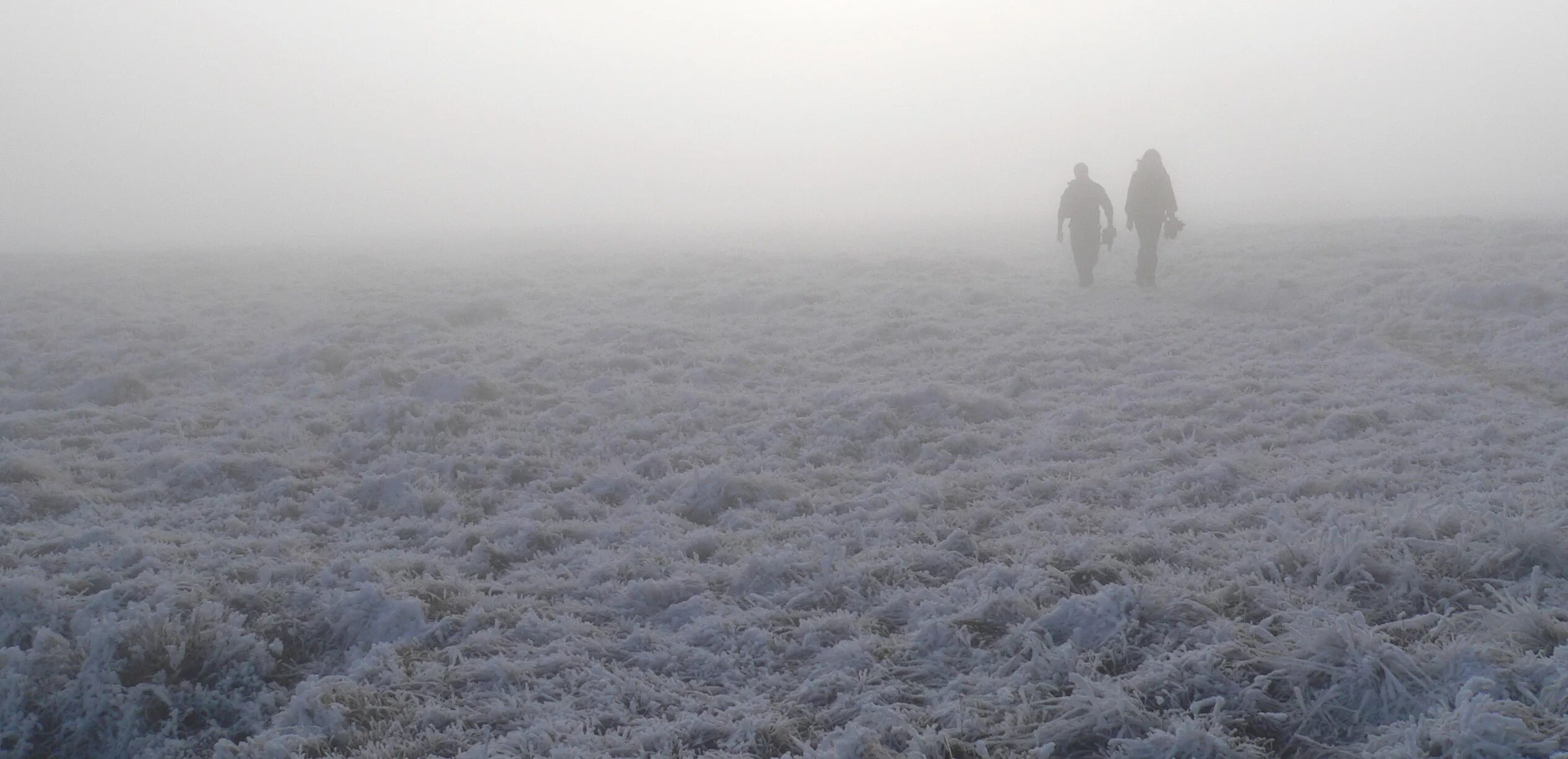 Ветер зимой. Мгла (в авиационной метеорологии). Снежная мгла в атмосфере. Полярная мгла. Полярное сияние в финляндии.