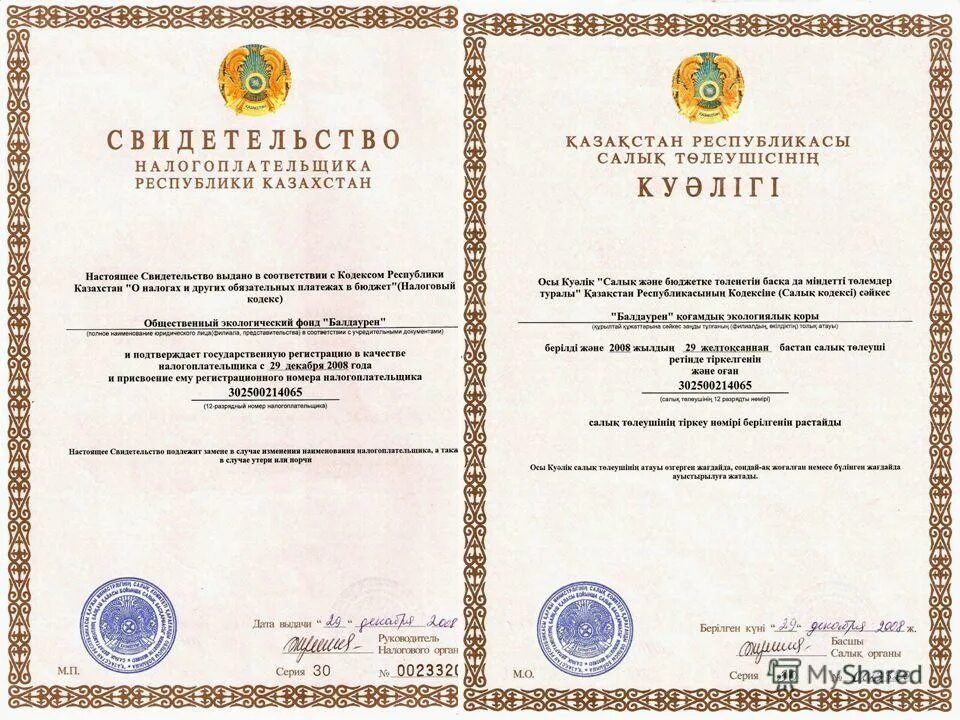Свидетельство о регистрации в качестве налогоплательщика. Свидетельство налогоплательщика рк. Иин нерезидента в казахстане. Инн казахстан. Оформление паспорта планеты.