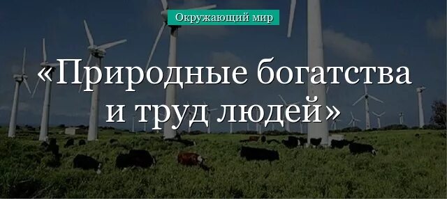 Природные богатства и труд людей основа экономики 3. Природные богатства и труд людей основа экономики. Природные богатства вода воздух земля растения. Природные богатства и труд людей. Природные богатства и труд людей экономики.