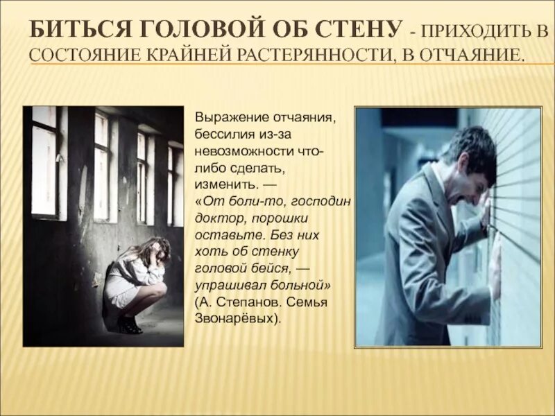 Почему человек стучит. Биться головой об стену. человек бьется головой об стену. биться головой об стену пословица.