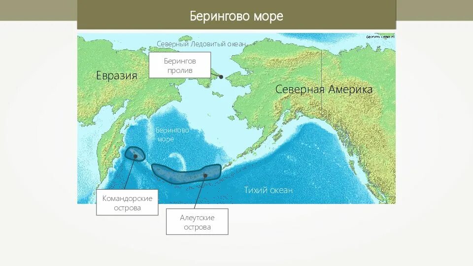 Берингово море крупные порты. Берингов пролив на карте северной америки. берингово море и берингов пролив на карте. берингов остров, пролив , море. берингов пролив берингово море остров беринга.