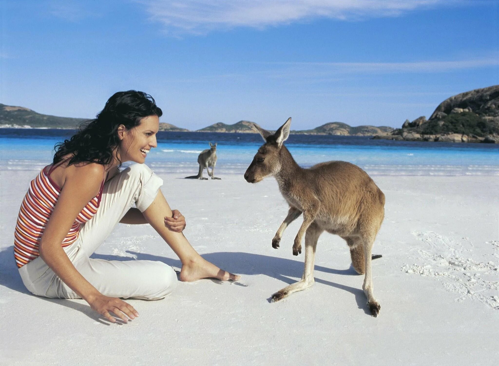 Сколько живет в австралии. Остров кенгуру в Австралии. Австралия туризм. Девушка и кенгуру. Австралия путешествие.