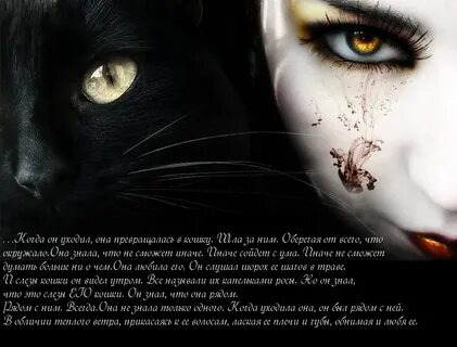 Она видит кошку