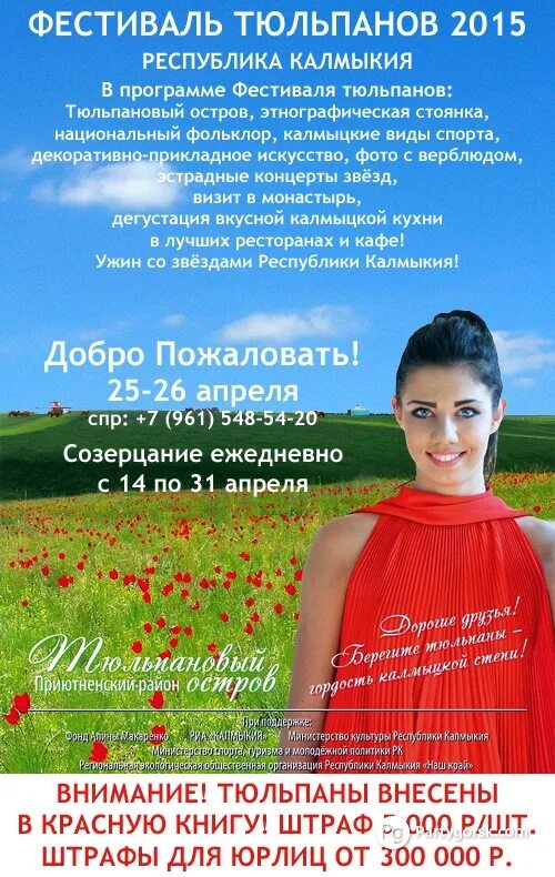 Программа элиста. Элиста фестиваль тюльпанов. фестиваль тюльпанов в калмыкии 2015. фестиваль тюльпанов элиста программа. фестиваль тюльпанов в элисте фото.