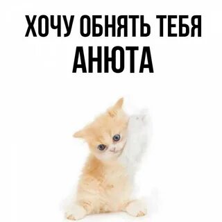 Анечки найти