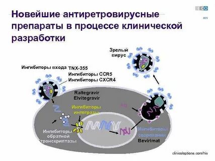 Ново ингибитор