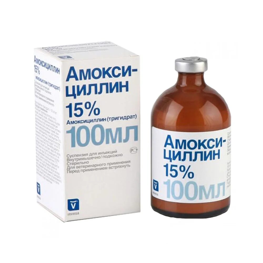 Амоксициллин это антибиотик. Амоксициллин 15% 10 мл Invesa. Амоксициллин 100 мл. Invesa. Амоксициллин 15% 100 мл Livisto. Амоксициллин 15 суспензия для инъекций для кошек.