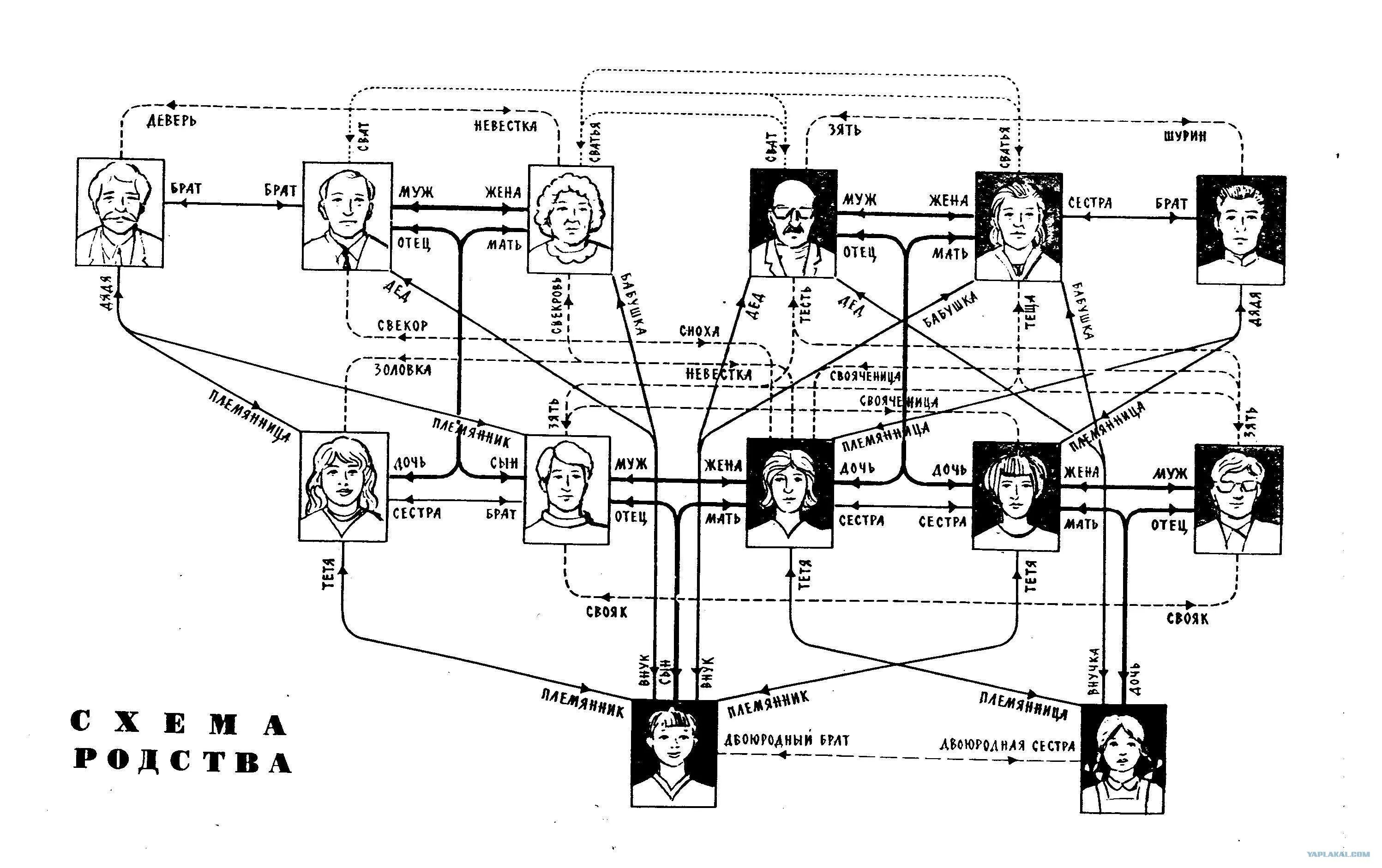 Книгу жена брата. Родственные связи схема родства. Древо родства кто кому кем приходится. Древо родственников кто кем кому приходится. Семейные связи схема.