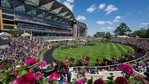 Ascot horse racing