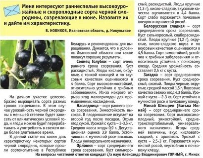 Смородина таблица