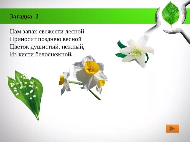 Загадка что нам дороже всего ответ. Нам запах свежести Лесной приносит. Нам запах свежести Лесной приносит позднею весной. Упражнение ароматный цветок 1 класс. Цветок из листа 6 цветков ароматный.