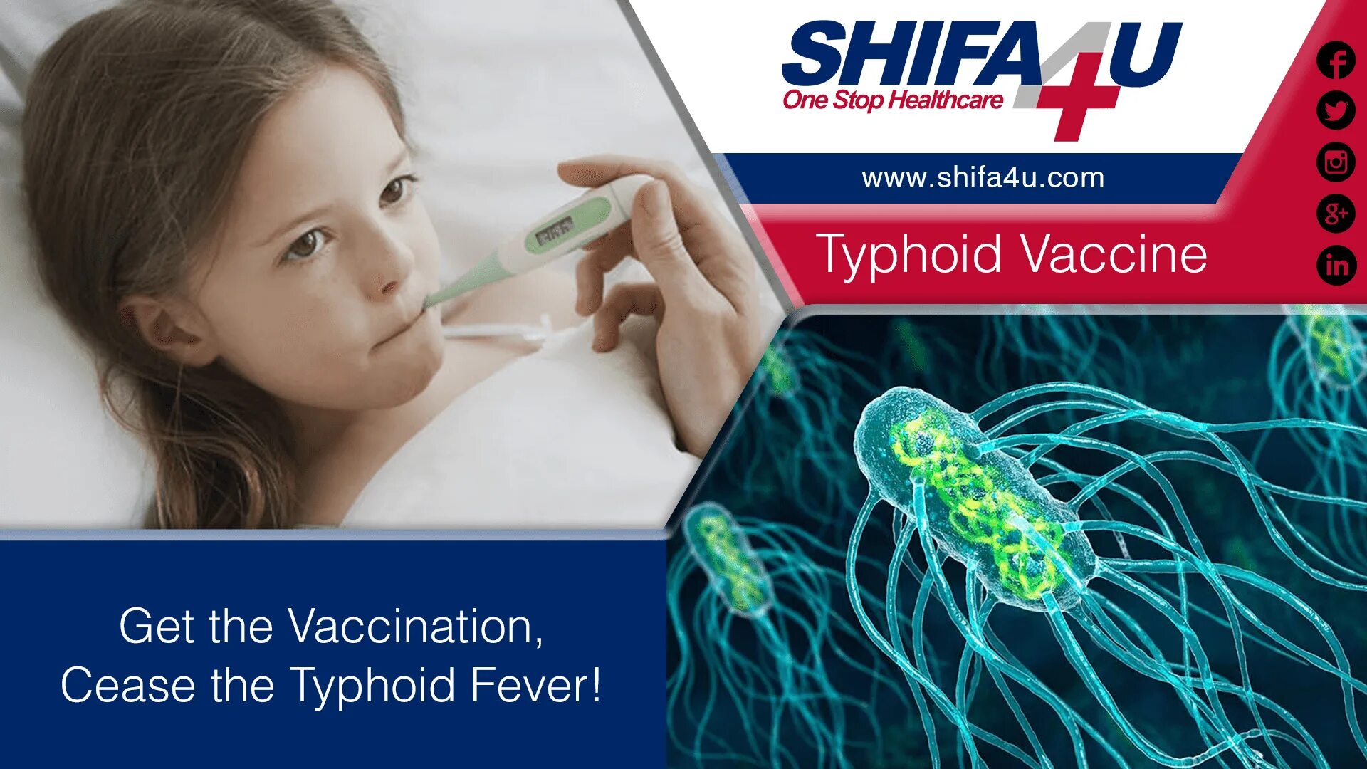 Typhoid vaccine. Вакцина сыпнотифозная химическая сухая. Брюшной тиф вакцина. Вианвак.