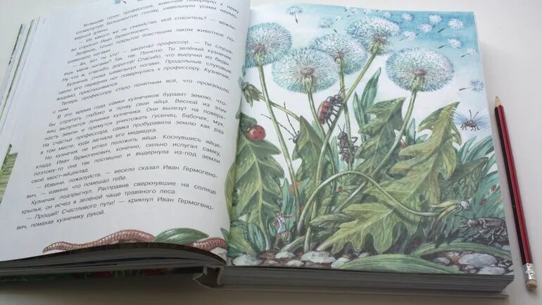 Необыкновенные приключения карика краткое содержание. Ян ларри необыкновенные приключения карика и вали. необыкновенные приключения карика и вали ян ларри книга. необыкновенные приключения карика и вали оглавление. приключения карика и вали иллюстрации к книге.