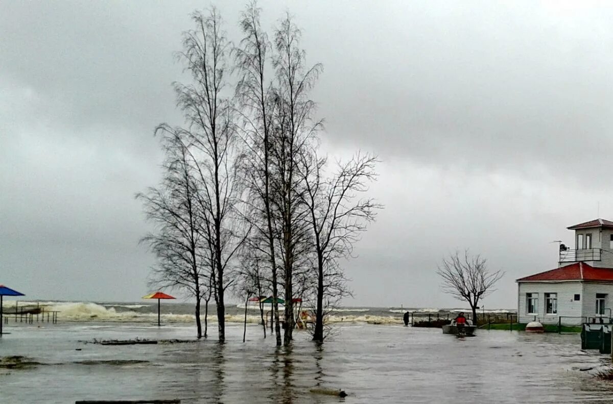 Погода зеленогорск ленинградская область на 10 дней. Золотой пляж Зеленогорск. Зеленогорск Ленинградская область. Зеленогорск золотой пляж зимой. Зеленогорск Ленинградская область парк.