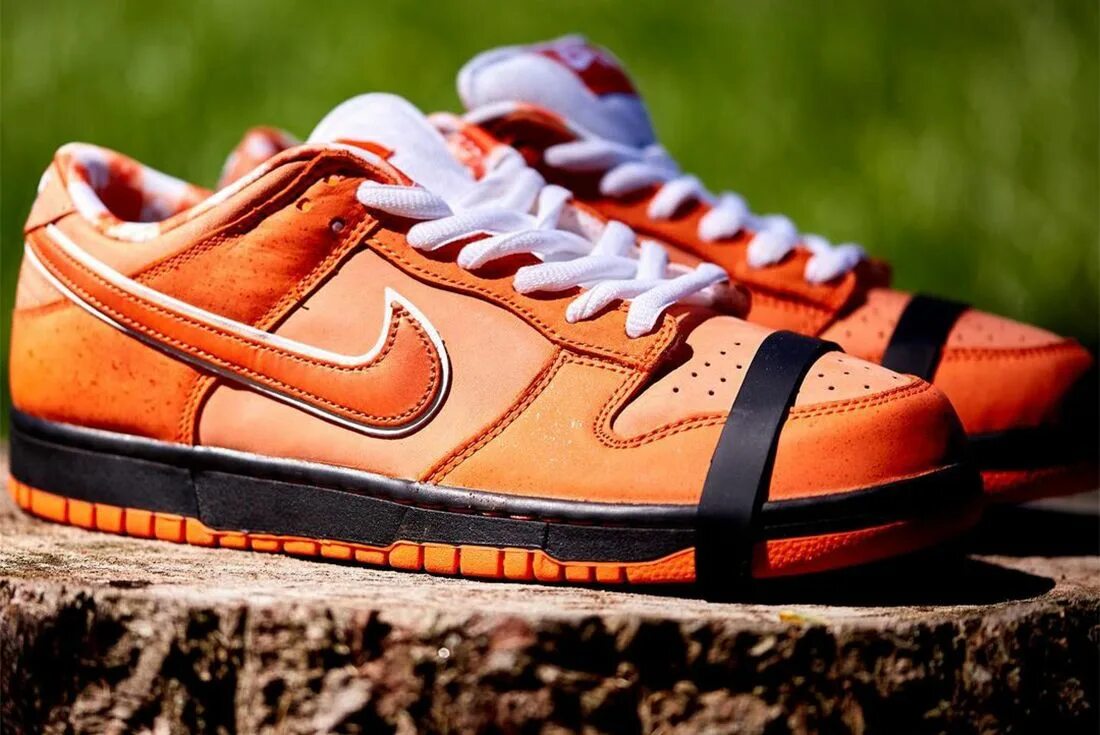 Найк sb dunk low. Nike SB Dunk Low Orange Lobster. Nike SB Dunk Low Orange. Nike SB Dunk Orange. Nike Dunk Orange Lobster.