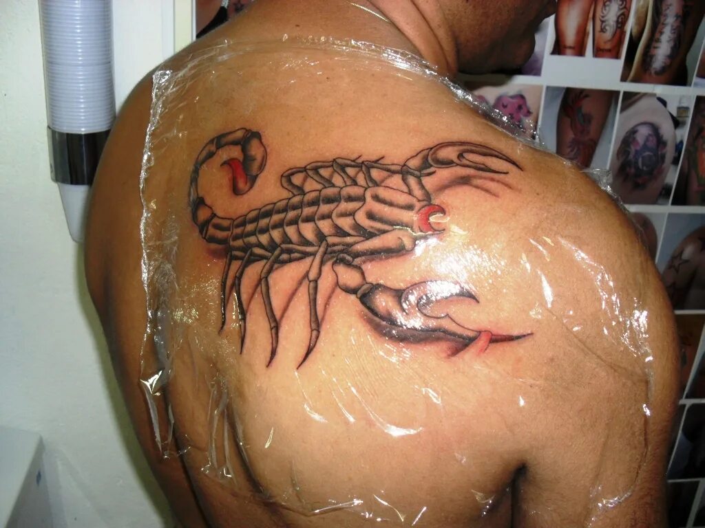 Тату скорпион для девушек. Татуировки скорпион для мужчин. Тату скорпион на лопатке. Знак зодиака scorpions tatu. Тату скорпион на груди.