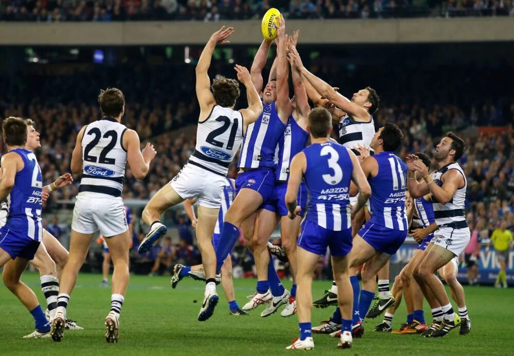 Спорт в австралии. Австралийцы спорт. Sport in australia. Спорт в австралии футбол. Top 10 popular sports.