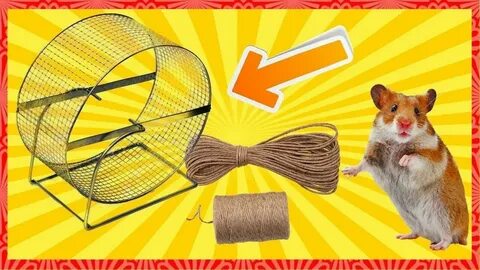 Какие карты в хомяке 9 июля