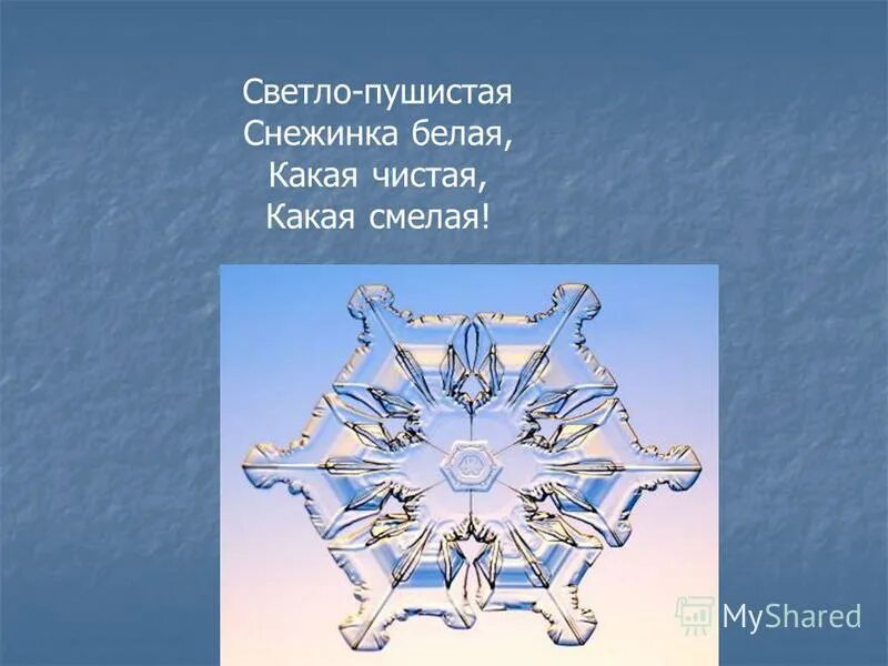 бальмонт светло-пушистая снежинка белая. бальмонт светло-пушистая снежинка. стих про снежинку для детей. прочитайте текст пушистые снежинки. светло-пушистая снежинка.
