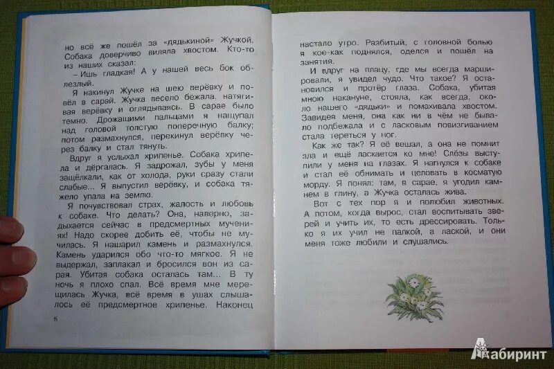 Рассказ наша жучка. Жучка рассказ 3 класс. Жучка рассказ читать. Рассказ Дурова жучка. Рассказ дурова наша жучка