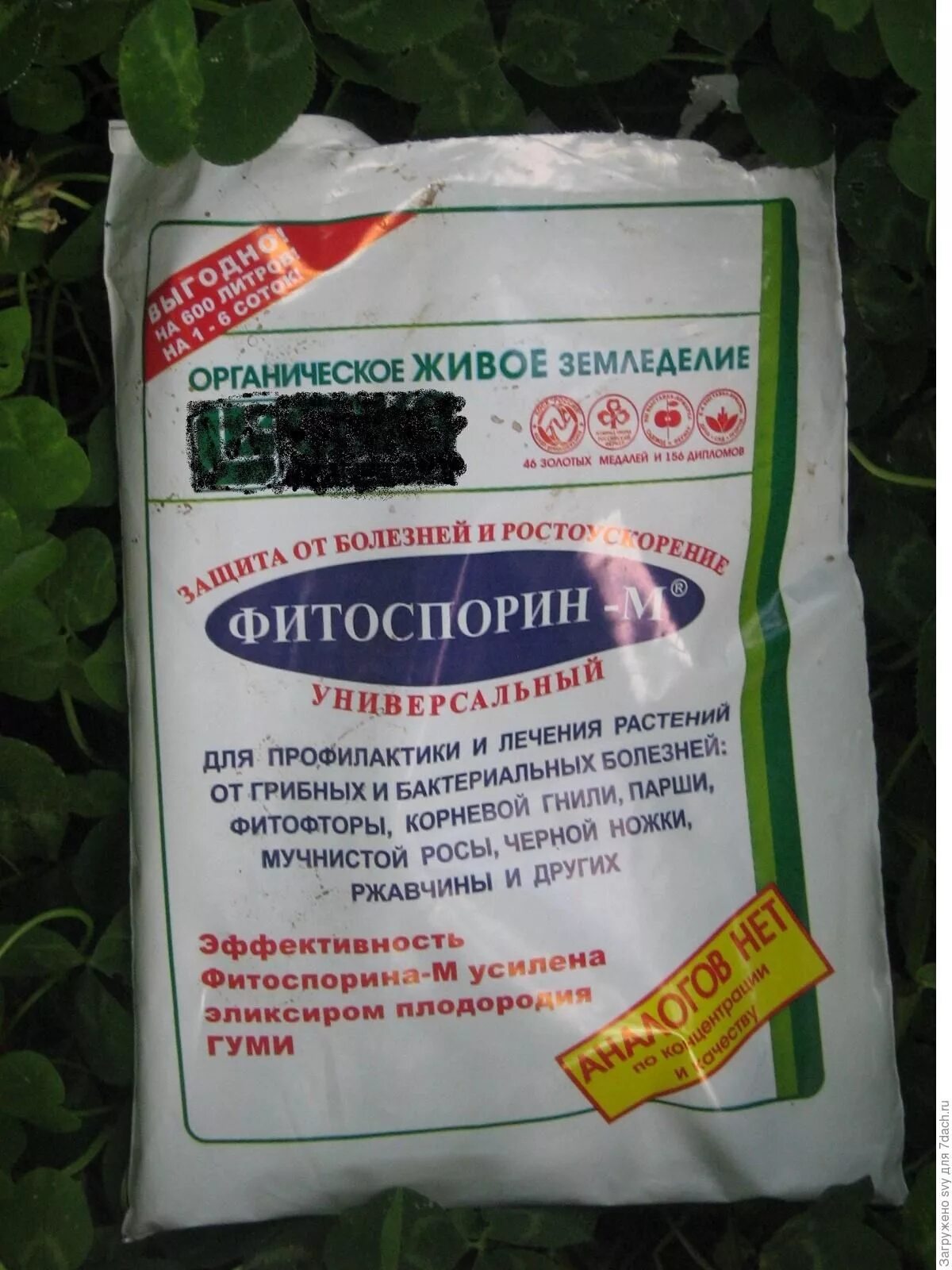 Фитоспорин от фитофторы на помидорах. Фитоспорин для цветов. Фитоспорин свойства. Фитоспорин для малины. Фитоспорин от мучнистой росы.