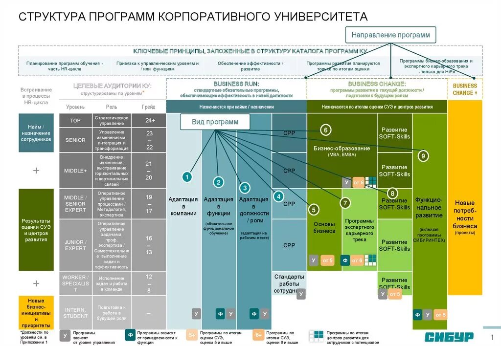 Развитие корпоративных университетов. Организационная структура корпоративного университета. Организационная структура Сибур Холдинг. Концепция корпоративного университета. Структура университета.