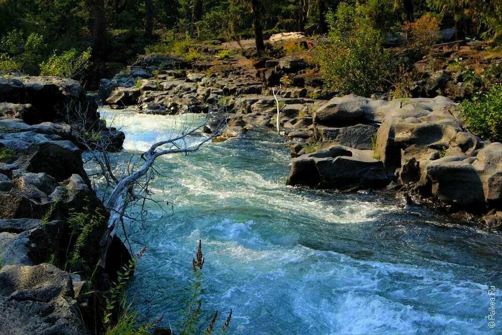 Ущелье Рог Орегон. Бурная вода. Река Секуа. Река рог