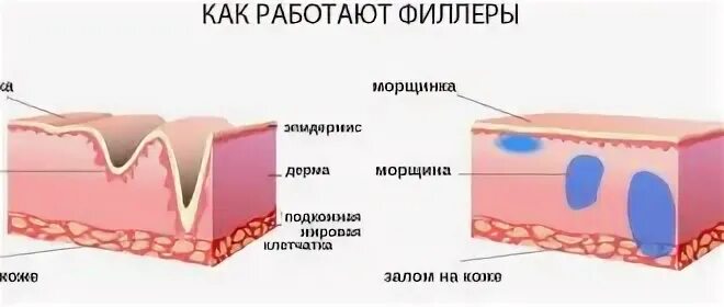 В организме возникает после введения