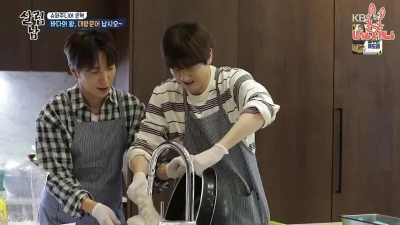 House husband 2