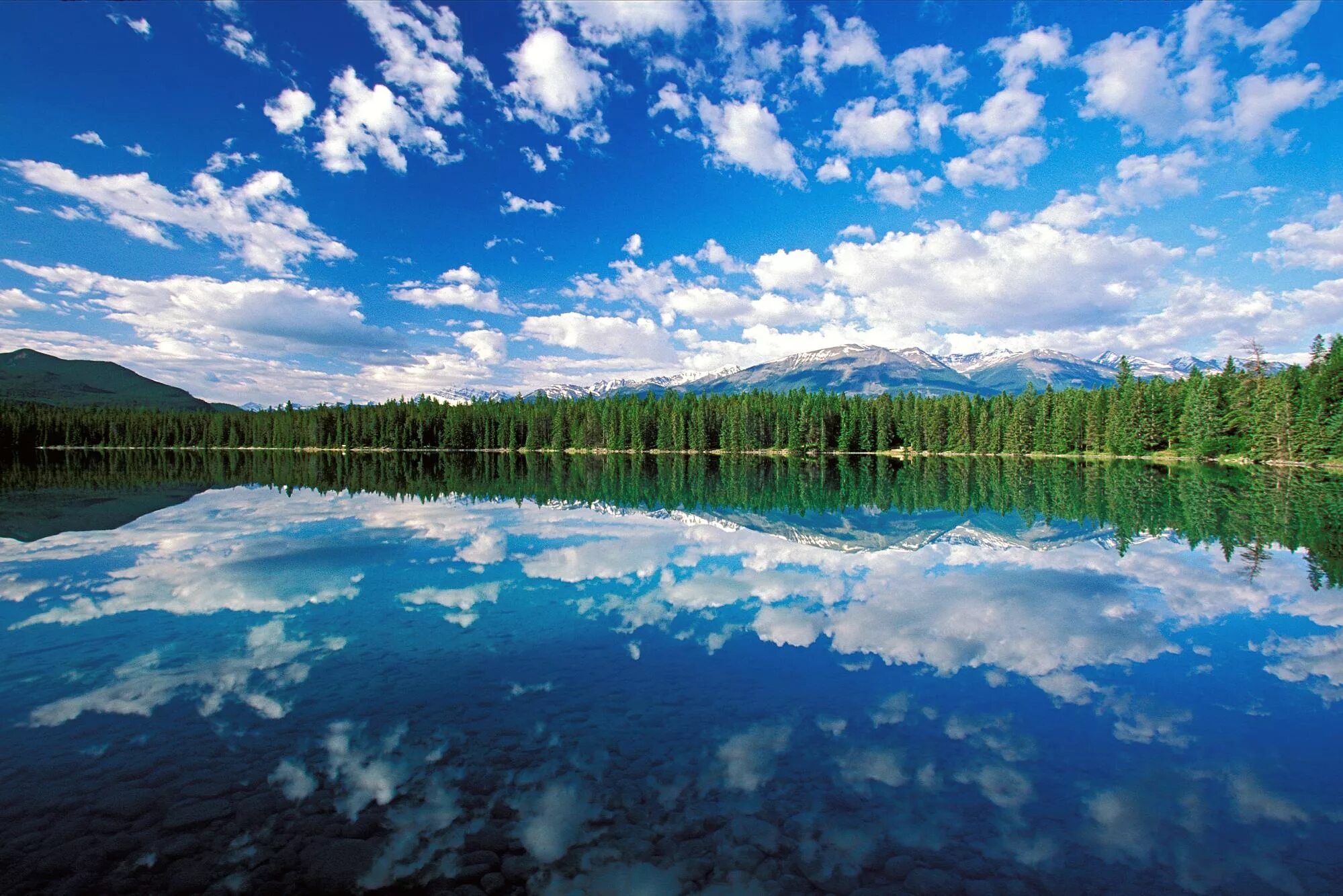 Родная вода