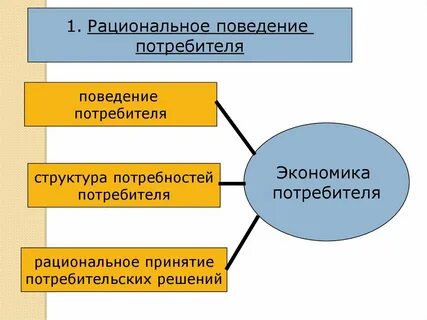 Рациональное социальное поведение