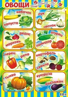 Овощи на грядке название