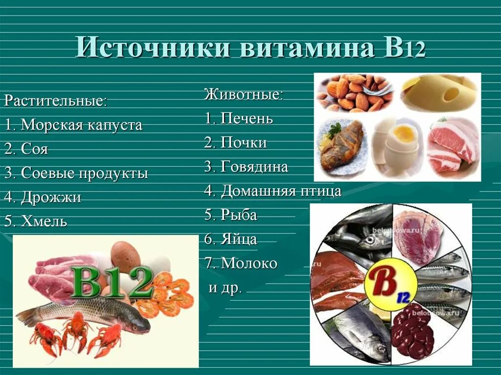 Витамин б12 как принимать. Источники витамина в12 в продуктах. Основные источники витамина в12 в питании. Витамины группы б12. Источники витамина в12 таблица.