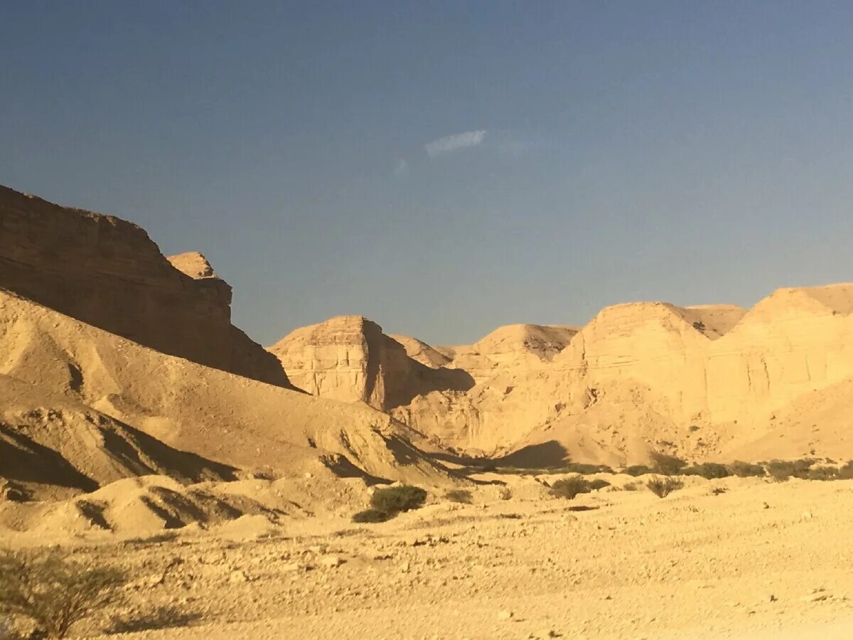 Пустыня юго западной азии. Афганистан э\. Природа западной азии. Климат афганистана. Природа азии пустыни.