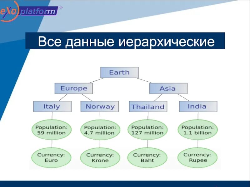 Иерархия типов данных