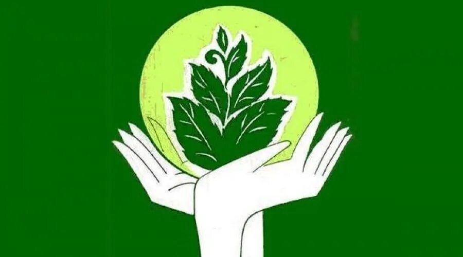 Экологическое движение зеленые. Эмблема экологии. Общественное экологическое движение. Экологический логотип.