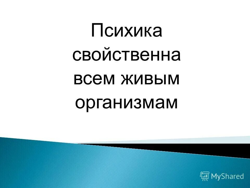 психическое сознание. специфические свойства и характеристики психики. психика своими словами. что является предметом психологии как науки?. 1 психика.