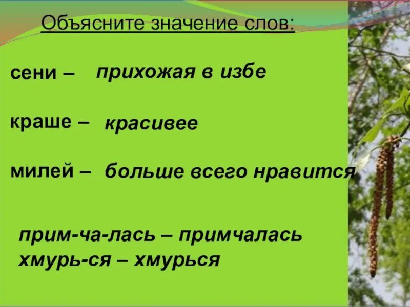 Объясни значение слова 5. Лексическое слово сени. Объясни значение слова сени. Объяснить значение слов. Сенцы значение слова.