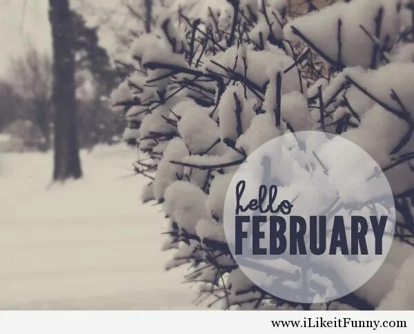 Hello февраль. Hello February картинка. February надпись. Привет февраль надпись. Hello february