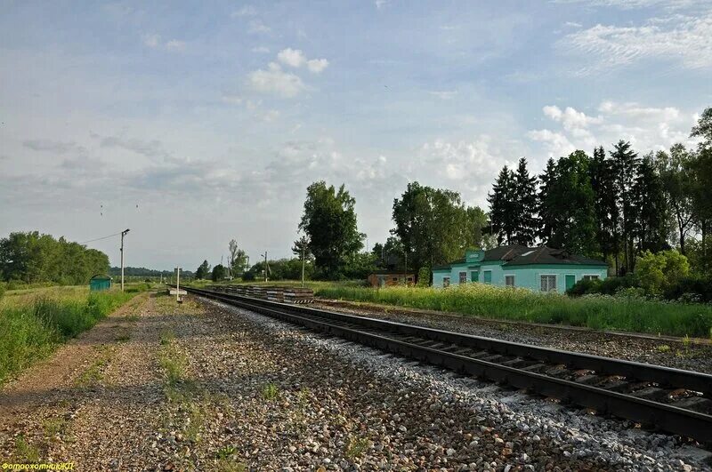 Деревня Касня Вяземского района. Поселок Касня Смоленской области. Д Касня Вяземского района Смоленской области. Касня вокзал.