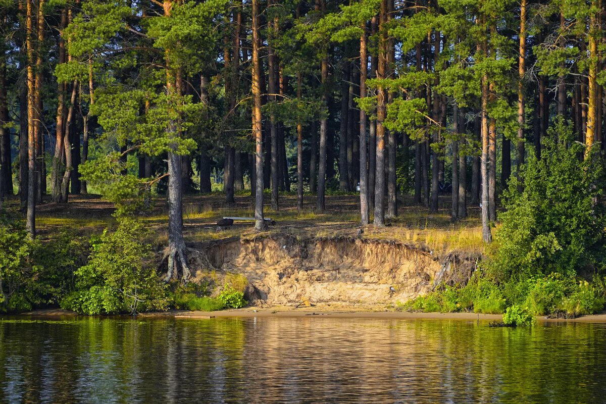 Сосновый Бор озеро Волго. Сосновый Бор Подмосковье водохранилище. Клязьма Сосновый Бор. Река Глуховка Сосновый Бор.