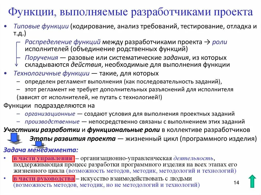 Выполняемые функции коллектива. Функции разработчика. роль разработчика в проекте. функционал разработчика. распределение функций проекта.