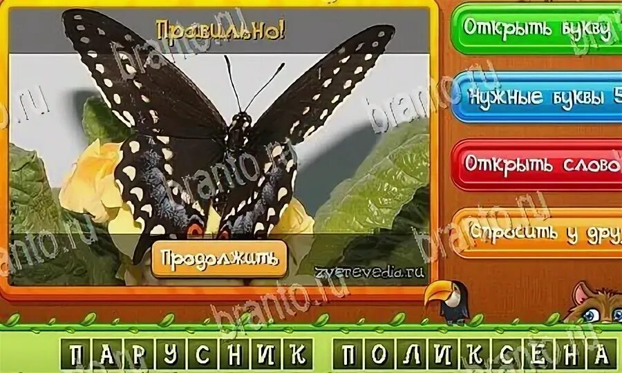 Угадай 24 уровень. Угадай животных ответы в одноклассниках. алиса игра угадай животных. игра угадай пин код ответы. угадай животных ответы в одноклассниках черный ворон.