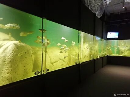 Самарский океанариум самара