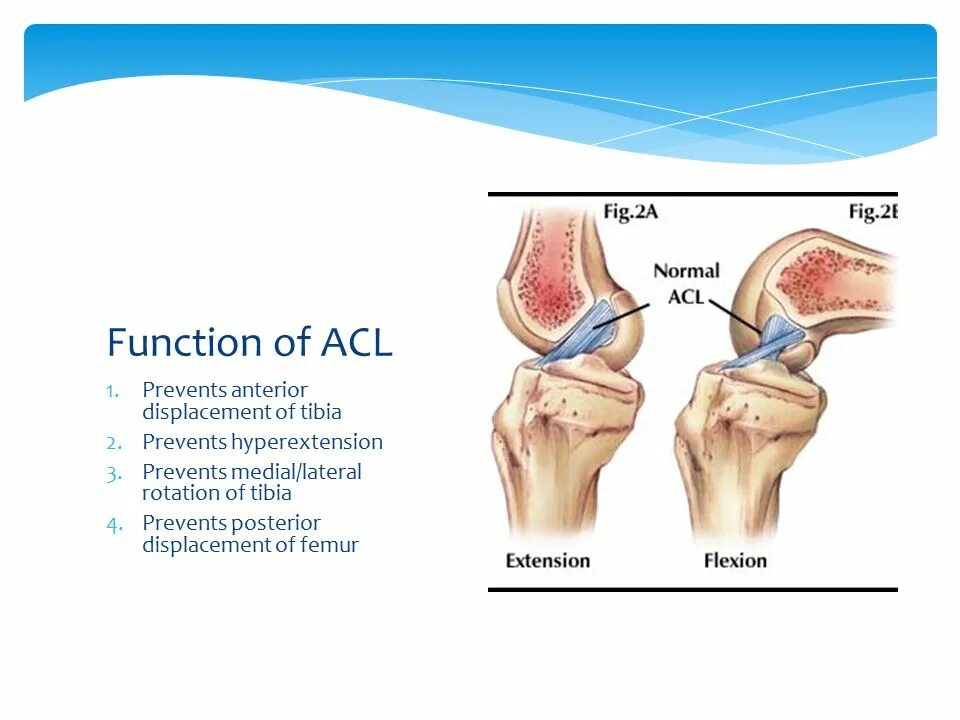 Acl что это. Динамический ACL.