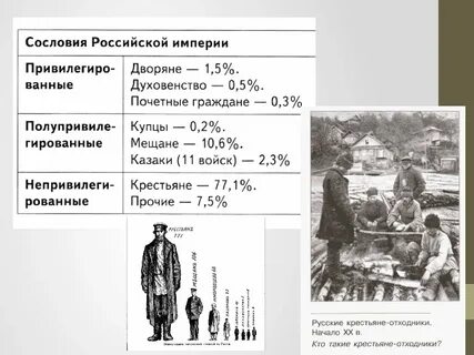 Сословное обучение