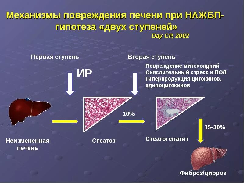 Гепатоз печени патогенез. Неалкогольная жировая болезнь печени классификация. Жировая инфильтрация печени классификация. Жировой гепатоз печени этиология. Гепатоз алкогольный лечение