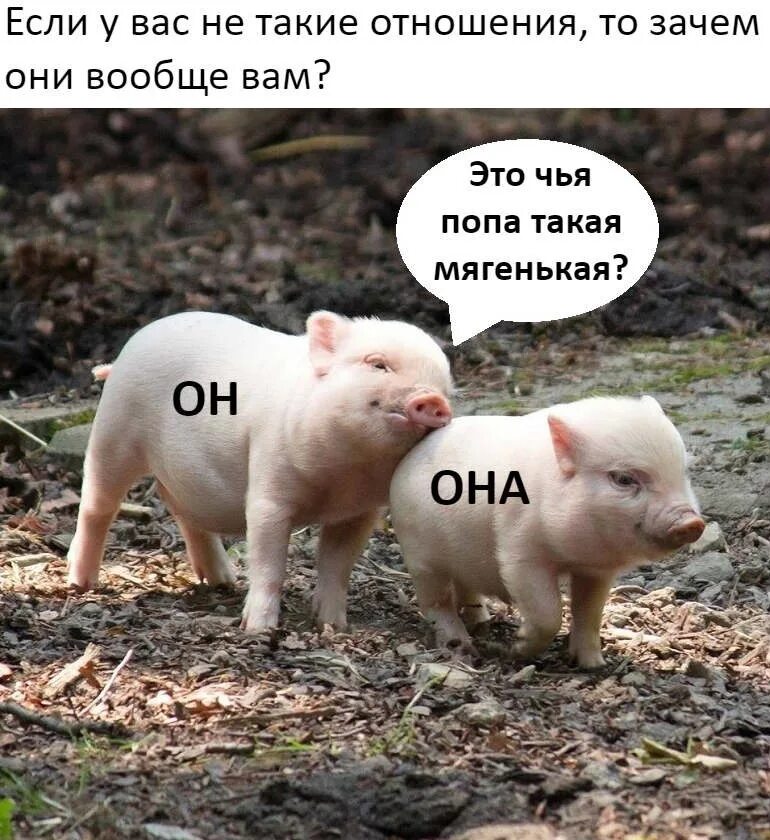 Невзирая на дождь. Да здравствует то благодаря чему мы несмотря ни на что новосибирск. Обороты с производными предлогами. Не такие большие несмотря на. Да здравствует то благодаря чему мы несмотря.